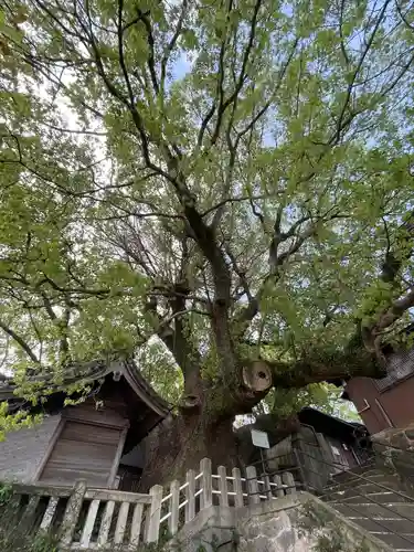 楠稲荷神社(長崎県)