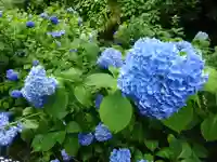 阿邪訶根神社の自然