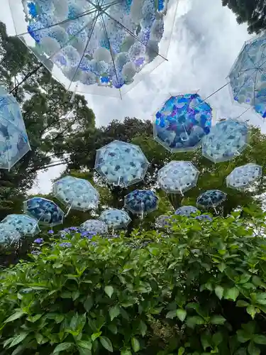柳谷観音　楊谷寺(京都府)