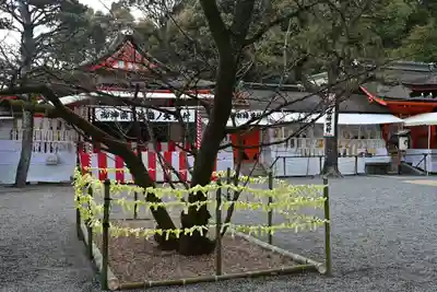 吉田神社(京都府)