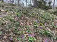 稲荷神社(北海道)