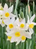 大避神社(兵庫県)