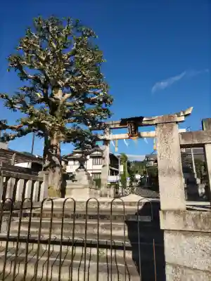 八大神社の{uncategorized: "未分類", other: "その他", undefined: "問題あり", building: "その他建物", grave: "お墓", sacred_gate: "鳥居", guardian: "狛犬", statue: "像", buddha: "仏像", history: "歴史", nature: "自然", garden: "庭園", animal: "動物", pagoda: "塔", temizu: "手水舎", mountain_gate: "山門・神門", sanctuary: "本殿・本堂", subordinate: "末社・摂社", art: "芸術", scenery: "景色", jizo: "地蔵", ema: "絵馬", goshuin: "御朱印", omikuji: "おみくじ", items: "授与品その他", amulet: "お守り", goshuincho: "御朱印帳", eats: "食事", festival: "お祭り", votive_dance: "神楽", shichigosan: "七五三参", wedding: "結婚式", experience: "体験その他", initially: "初詣", around: "周辺", anti_infection: "感染症対策"}