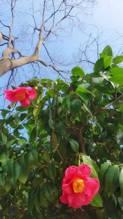 神明社(国府宮神明社)の自然