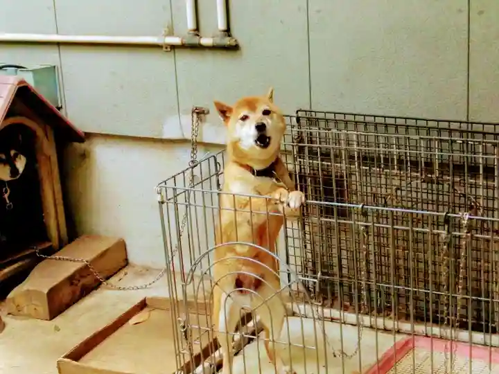 薬王寺(千葉県)