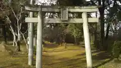 朝日稲荷神社の鳥居