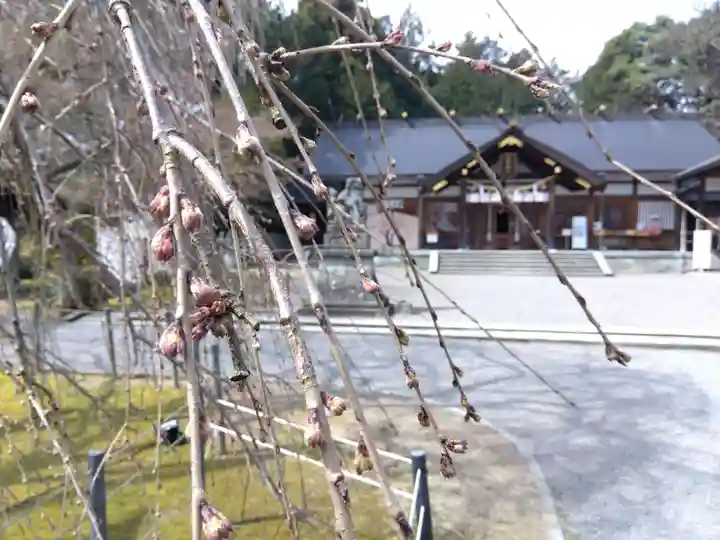 足羽神社(福井県)