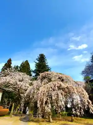 大隣寺(福島県)