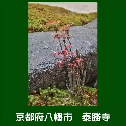 松花堂 泰勝寺(京都府)