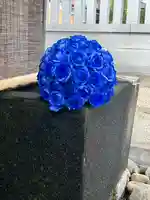 上尾御嶽神社の手水舎