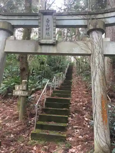 白山神社の鳥居