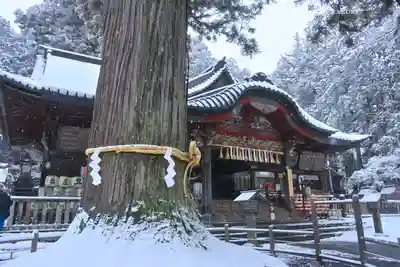 北口本宮冨士浅間神社(山梨県)