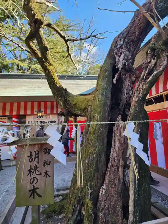 笠間稲荷神社(茨城県)