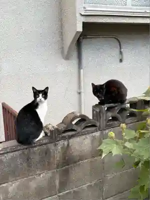 中川八幡神社(長崎県)