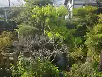 本妙寺(京都府)