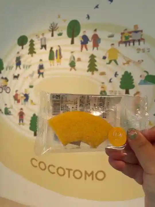 針綱神社(愛知県)