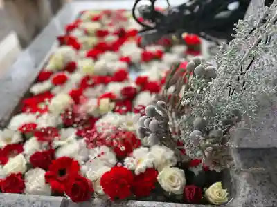 札幌諏訪神社の手水舎