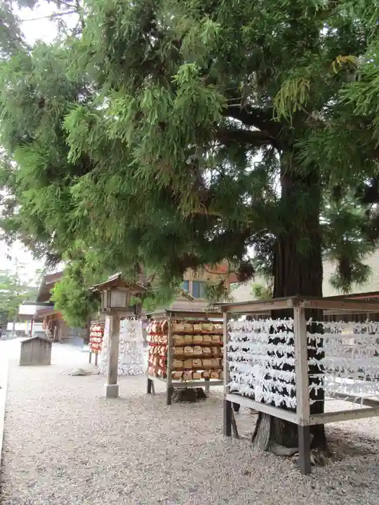 出雲大社(島根県)