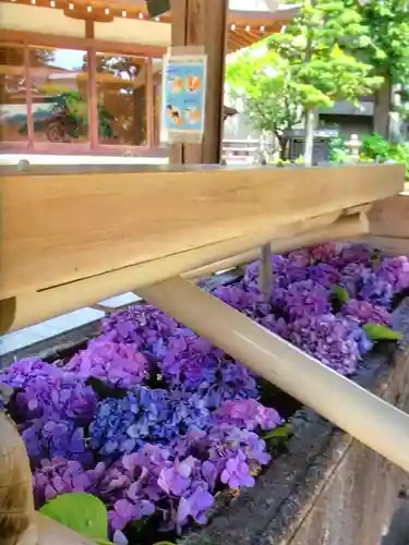 鳩森八幡神社の手水舎