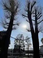 代田八幡神社の自然