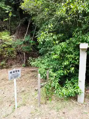 切幡寺(徳島県)