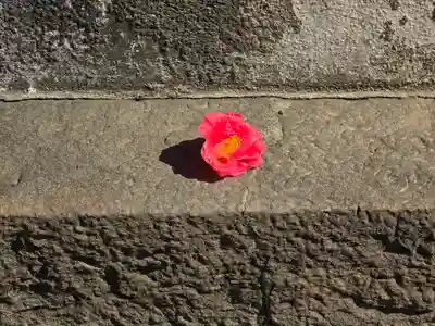 往生院(大阪府)