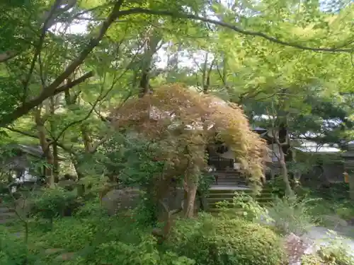 覚園寺の庭園