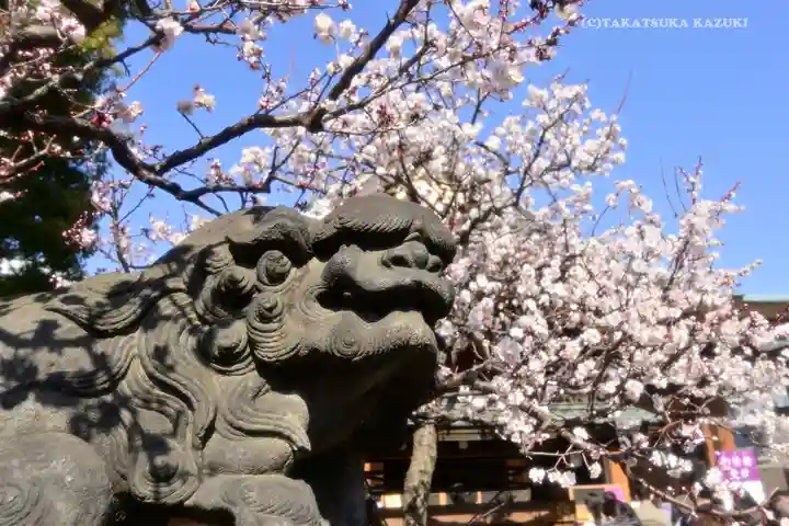 湯島天満宮の狛犬