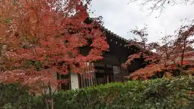 建仁寺（建仁禅寺）(京都府)