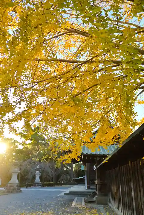 三嶋大社(静岡県)