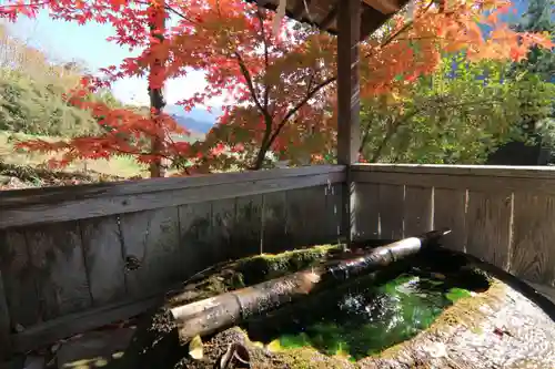 日枝神社の手水