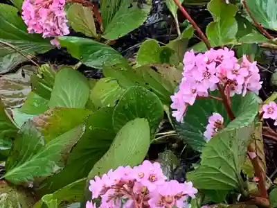 城福寺(福井県)