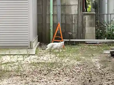上落合神明神社(埼玉県)