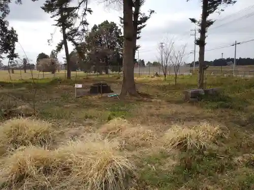 筑波神社跡の自然