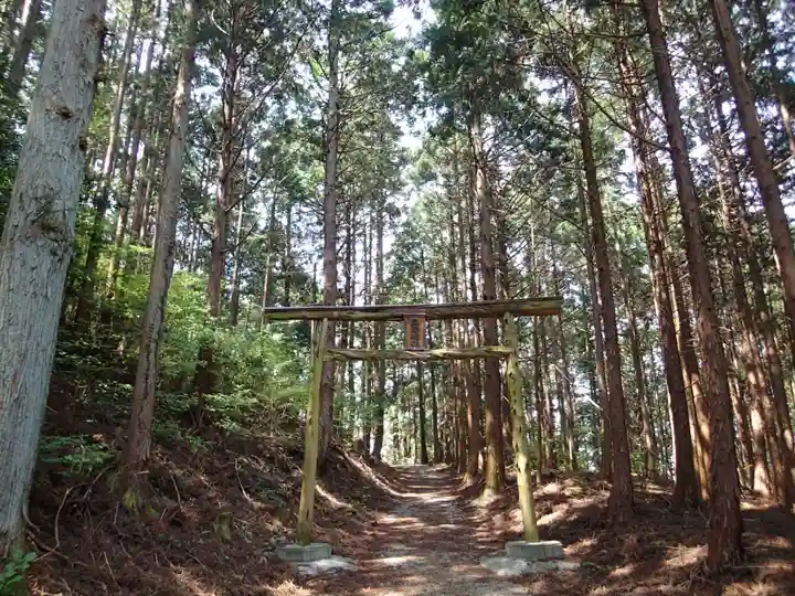 立岩神社の鳥居