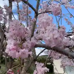 豊景神社の自然