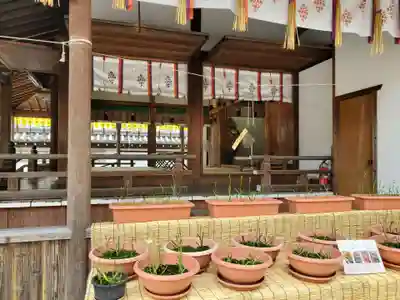 射楯兵主神社のその他建物