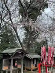 金ヶ作熊野神社(千葉県)