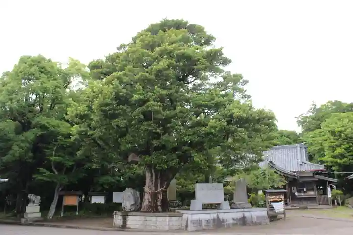 鶴谷八幡宮の自然