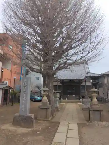 成田山不動大教会(東京都)