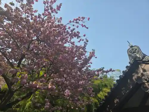 元本坊 本願院（開山坊）(奈良県)