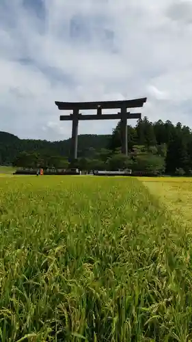 大斎原（熊野本宮大社旧社地）の鳥居