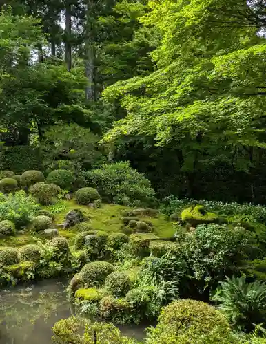 三千院門跡(京都府)