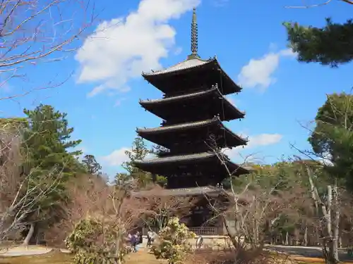 仁和寺の塔