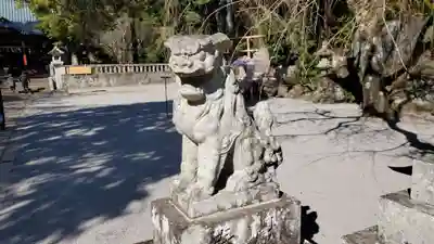 伊豆山神社の狛犬