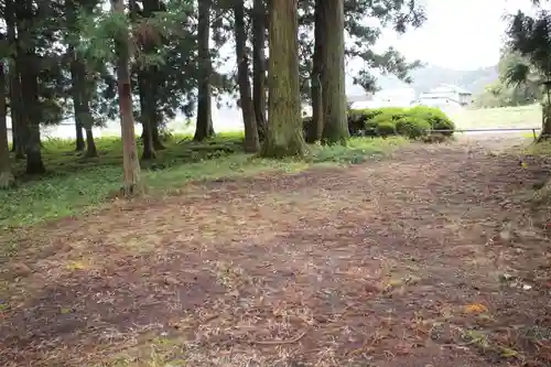 熊野神社の自然