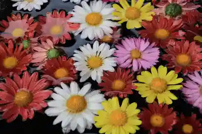 大鏑神社の手水舎
