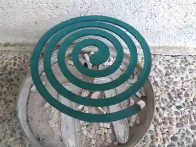 福井神社(福井県)