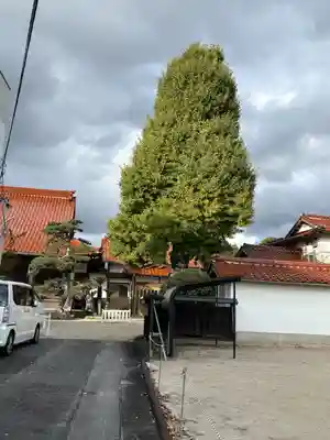 日蔵寺(島根県)