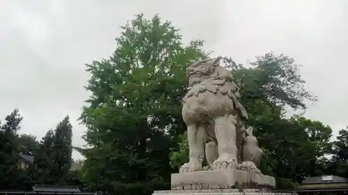 諏訪神社の狛犬